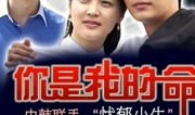 你是我的生命电视剧,爱在岁月流转中的坚守与守护