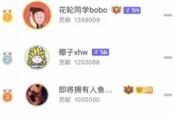 斗鱼直播间洞主91,斗鱼直播间的魅力之星