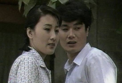 渴望电视剧演员表,重温经典，重温那些年我们一起追过的电视剧演员阵容