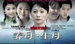 养母电视剧,温情岁月里的爱与救赎