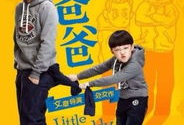 小爸爸电视剧,温情演绎现代家庭生活百态